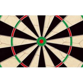 Dartboard Champon´s Choice II